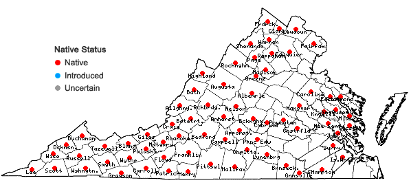 Locations ofNabalus altissimus (L.) Hooker in Virginia