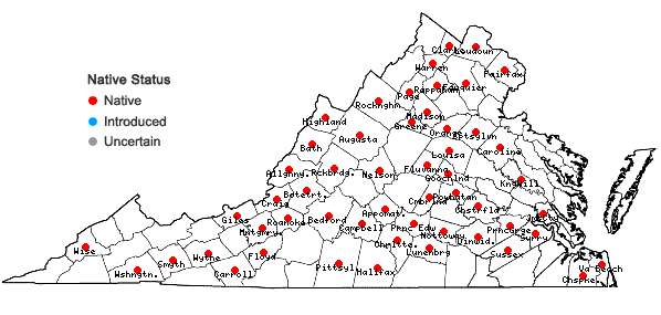 Locations ofNabalus trifoliolatus Cassini in Virginia
