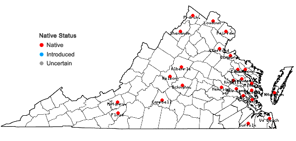 Locations ofNajas guadalupensis (Spreng.) Magnus var. guadalupensis in Virginia