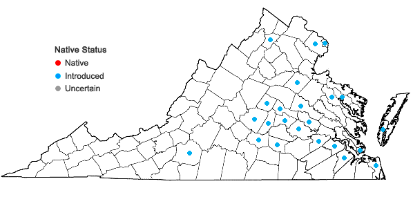 Locations ofNandina domestica Thunberg in Virginia
