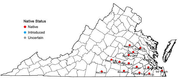 Locations ofNekemias arborea (L.) J. Wen & Boggan in Virginia