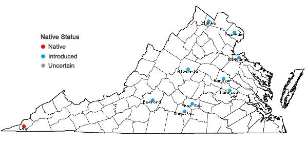 Locations ofNephroia carolina (L.) Lian Lian & Wei Wang in Virginia