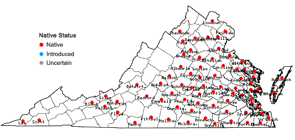 Locations ofOphioglossum pycnostichum (Fernald) A. & D. Love in Virginia