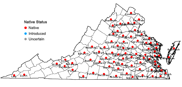 Locations ofOphioglossum pycnostichum (Fernald) A. & D. Love in Virginia