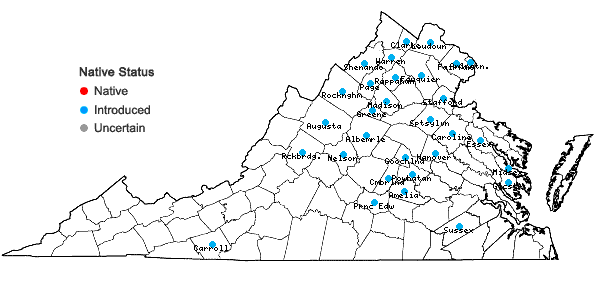 Locations ofOplismenus undulatifolius (Ard.) P. Beauv. in Virginia