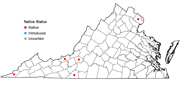 Locations ofOreoweisia serrulata (Funck ex Brid.) Lindb. in Virginia