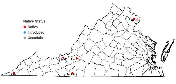 Locations ofOreoweisia serrulata (Funck ex Brid.) Lindb. in Virginia