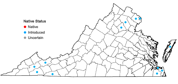 Locations ofOrobanche minor J.E. Smith in Virginia