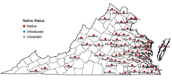 Locations ofOrontium aquaticum L. in Virginia