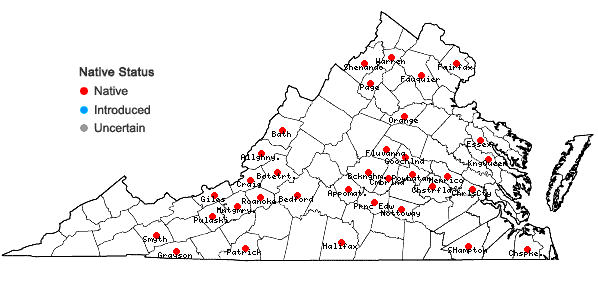 Locations ofOrthotrichum ohioense Sullivant & Lesquereux in Virginia