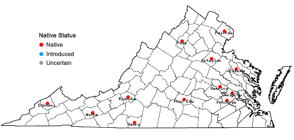 Locations ofOrthotrichum pusillum Mitten in Virginia