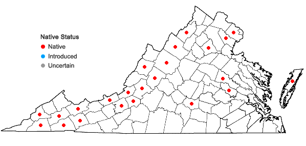 Locations ofOrthotrichum strangulatum P. Beauv. in Virginia