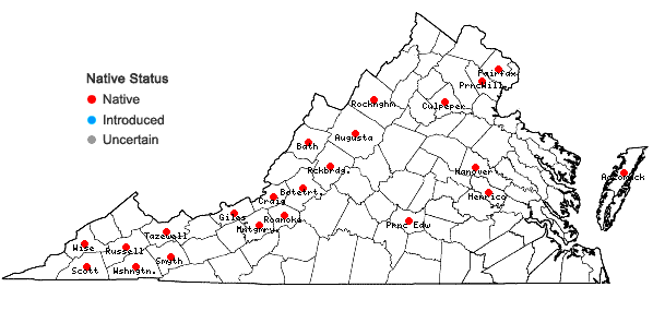 Locations ofOrthotrichum strangulatum P. Beauv. in Virginia