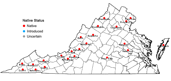 Locations ofOrthotrichum strangulatum P. Beauv. in Virginia