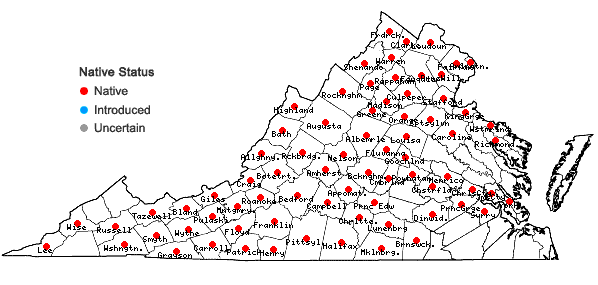 Locations ofOsmorhiza longistylis (Torr.) DC. in Virginia