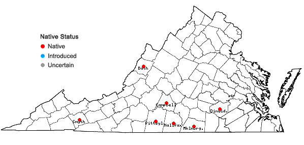 Locations ofOxalis colorea (Small) Fedde in Virginia