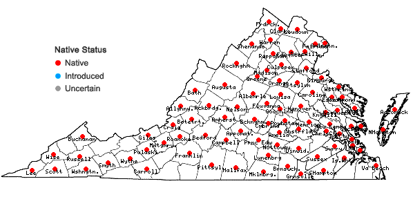 Locations ofOxalis violacea L. in Virginia
