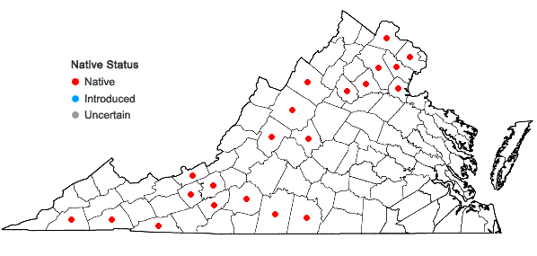 Locations ofPackera paupercula (Michx.) A. & D. Love var. paupercula in Virginia
