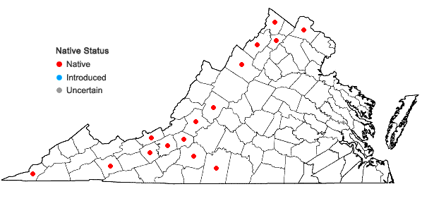 Locations ofPackera paupercula (Michaux) Á. & D. Löve var. appalachiana A.M. Mahoney; in Virginia