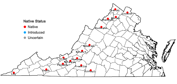 Locations ofPackera paupercula (Michaux) Á. & D. Löve var. appalachiana A.M. Mahoney; in Virginia