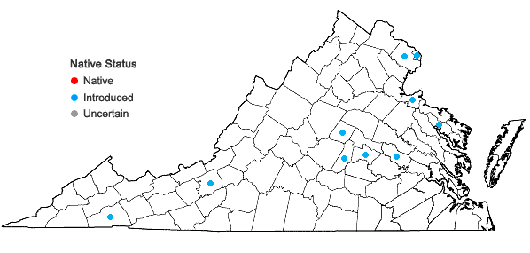 Locations ofPanicum miliaceum L. in Virginia