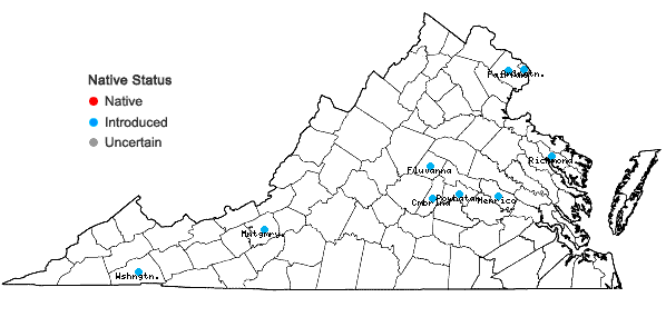 Locations ofPanicum miliaceum L. in Virginia
