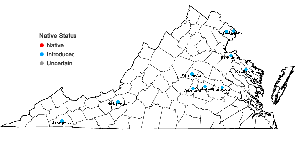 Locations ofPanicum miliaceum L. in Virginia