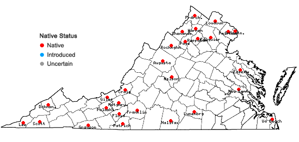 Locations ofPanicum philadelphicum Bernh. ex Trin. ssp. gattingeri (Nash) Freckm. & Lelong in Virginia