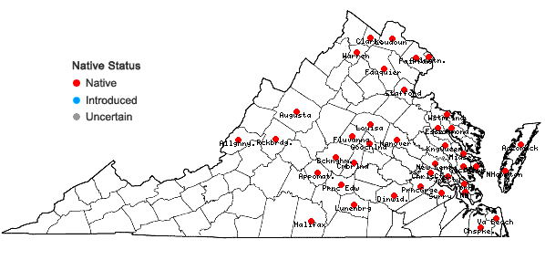 Locations ofPanicum virgatum L. var. virgatum in Virginia