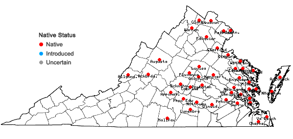 Locations ofPanicum virgatum L. var. virgatum in Virginia