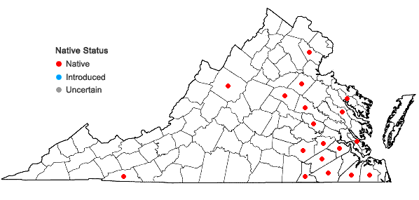 Locations ofPanicum virgatum L. var. cubense Griseb. in Virginia