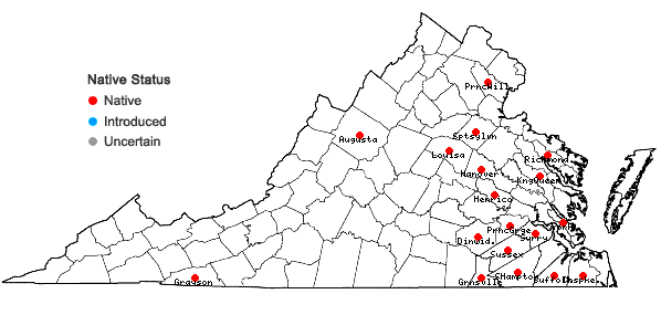 Locations ofPanicum virgatum L. var. cubense Griseb. in Virginia