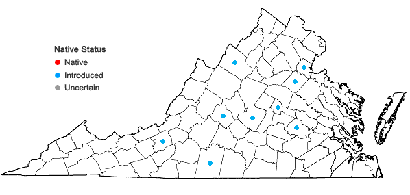 Locations ofPapaver rhoeas L. in Virginia