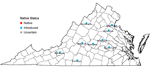 Locations ofPapaver rhoeas L. in Virginia