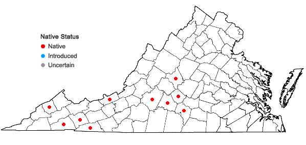 Locations ofParaleucobryum longifolium (Ehrh. ex Hedw.) Loeske in Virginia