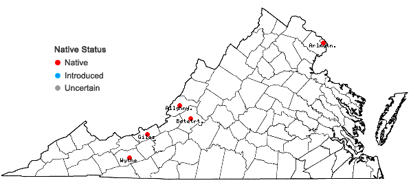 Locations ofParonychia virginica Spreng. var. virginica in Virginia