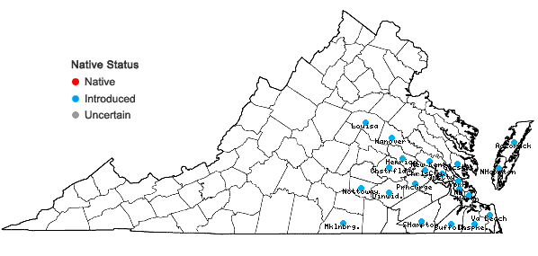 Locations ofPaspalum notatum Fluegge in Virginia