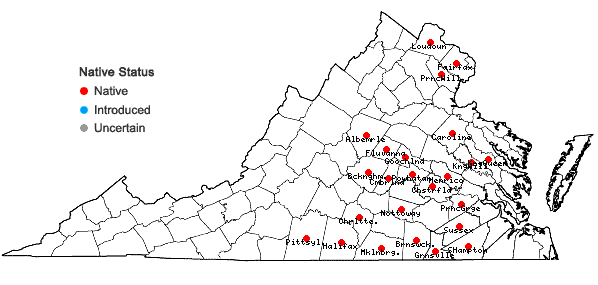 Locations ofPaspalum repens P.J. Bergius in Virginia