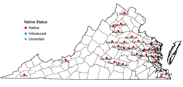 Locations ofPaspalum setaceum Michx. var. ciliatifolium (Michx.) Vasey in Virginia