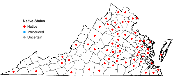Locations ofPaspalum setaceum Michx. var. mühlenbergii (Nash) Fern. in Virginia