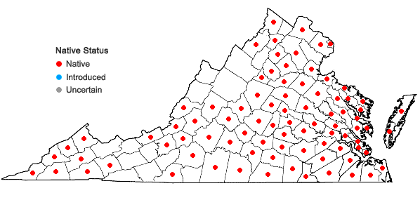 Locations ofPassiflora lutea L. in Virginia