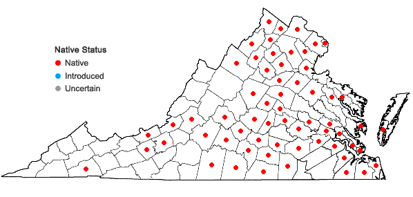 Locations ofPersicaria lapathifolia (L.) Gray in Virginia