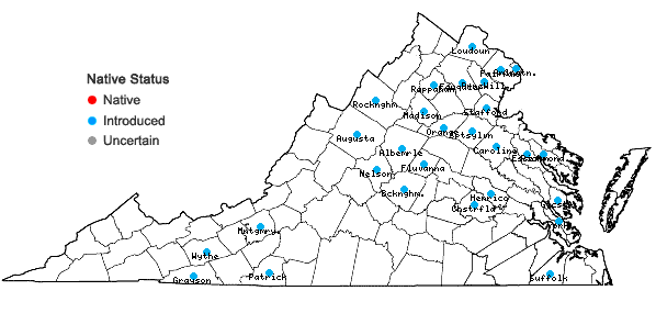 Locations ofPersicaria perfoliata (L.) H. Gross in Virginia