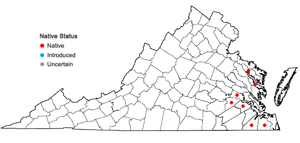 Locations ofPersicaria robustior (Small) E.P. Bicknell in Virginia