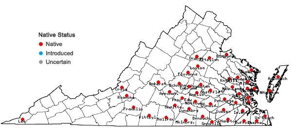 Locations ofPersicaria setacea (Baldw.) Small in Virginia