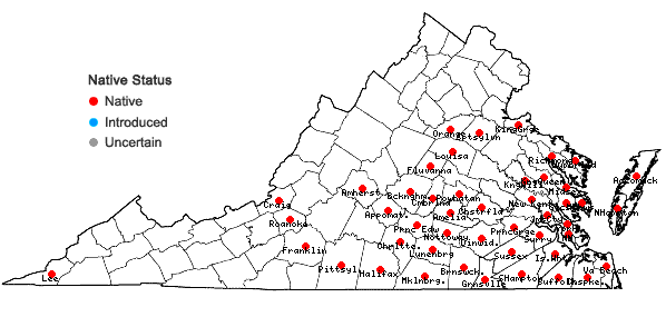Locations ofPersicaria setacea (Baldw.) Small in Virginia
