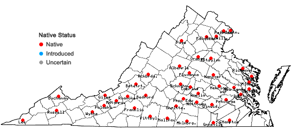 Locations ofPhaseolus polystachios (L.) B.S.P. in Virginia