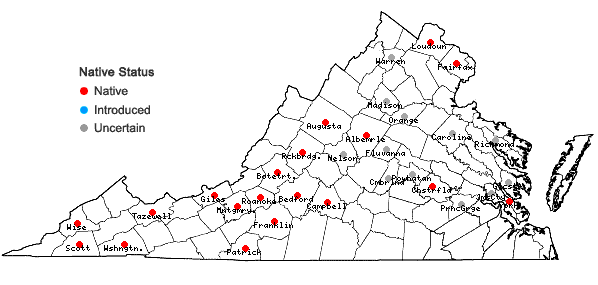 Locations ofPhiladelphus inodorus L. in Virginia