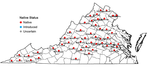 Locations ofPhlox divaricata L. in Virginia