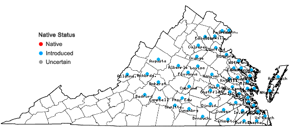 Locations ofPhragmites australis (Cav.) Trin. ex Steud. in Virginia
